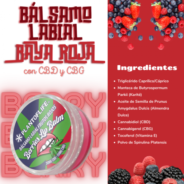 Balsamo Labial Frutos Rojos CBD - Imagen 3
