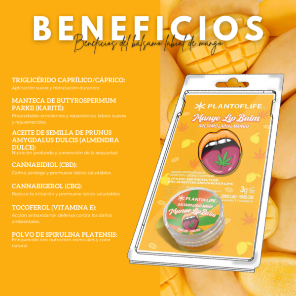 Balsamo Labial Mango CBD - Imagen 2