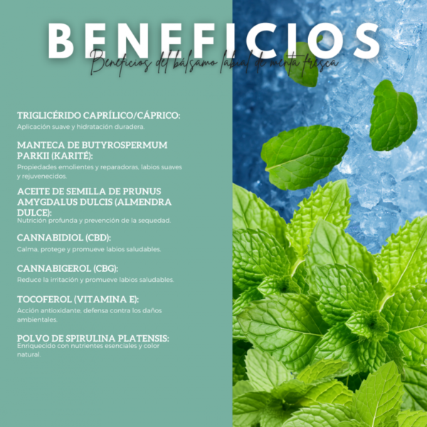 Balsamo Labial Menta Helada CBD - Imagen 2