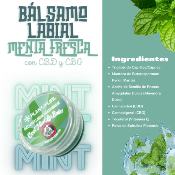 Balsamo Labial Menta Helada CBD - Imagen 3